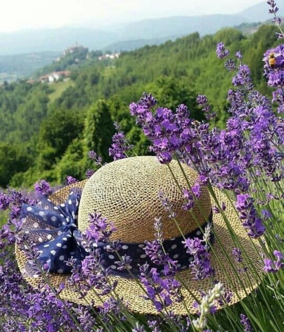 Лаванда Жасмин чай