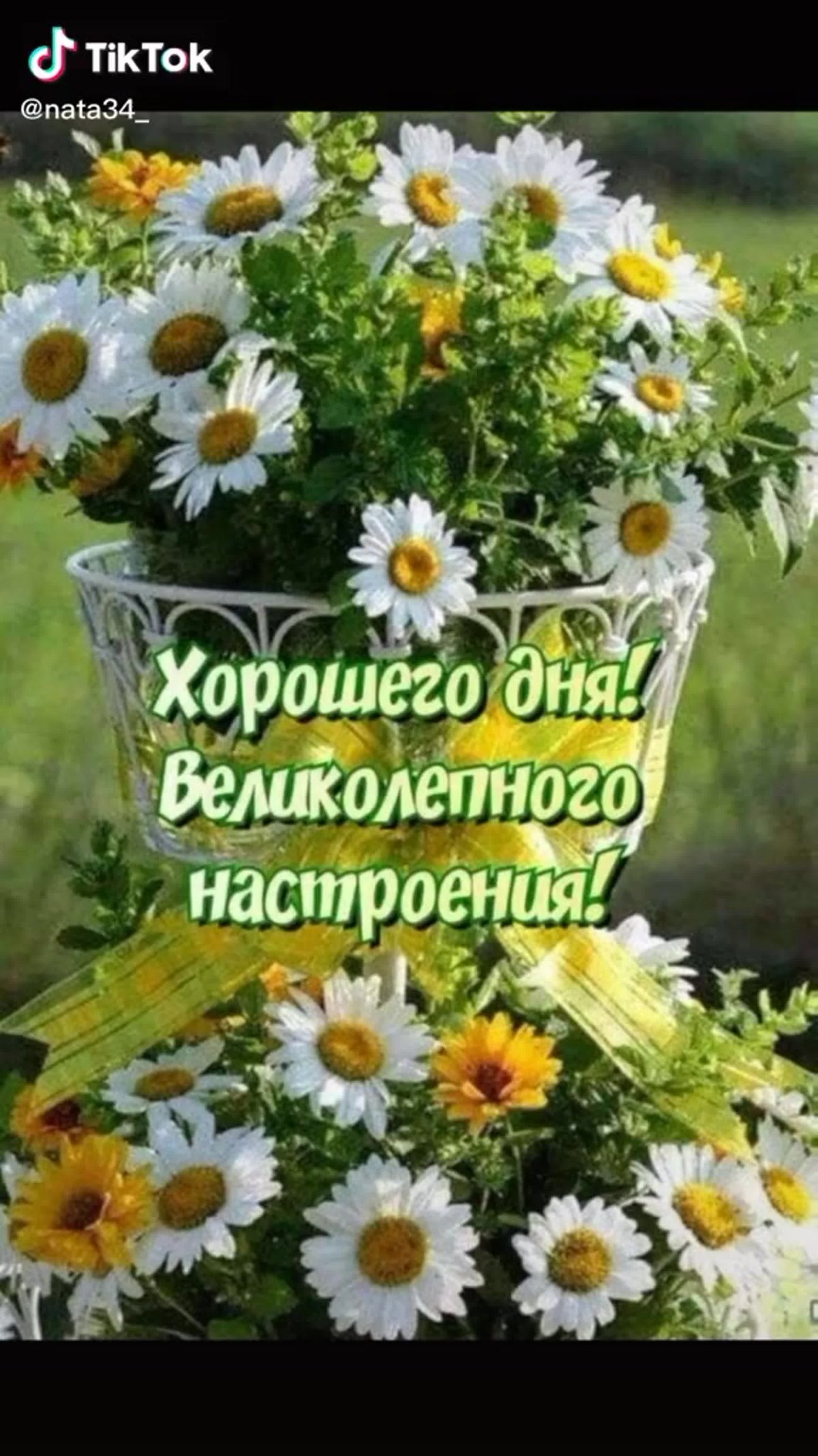 Доброго дня и хорошего настроения