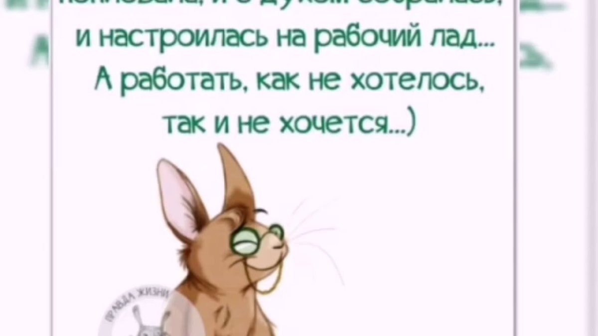 Смешные цитаты со смыслом