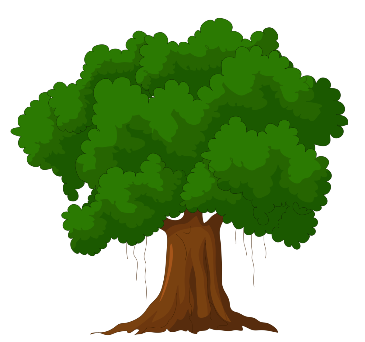 Эскиз дуба в цвете