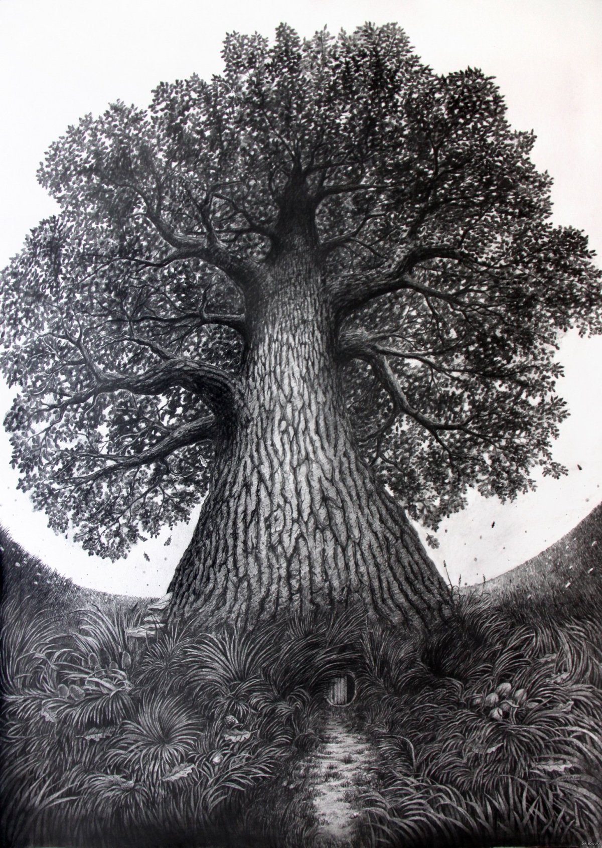 Мультяшные деревья