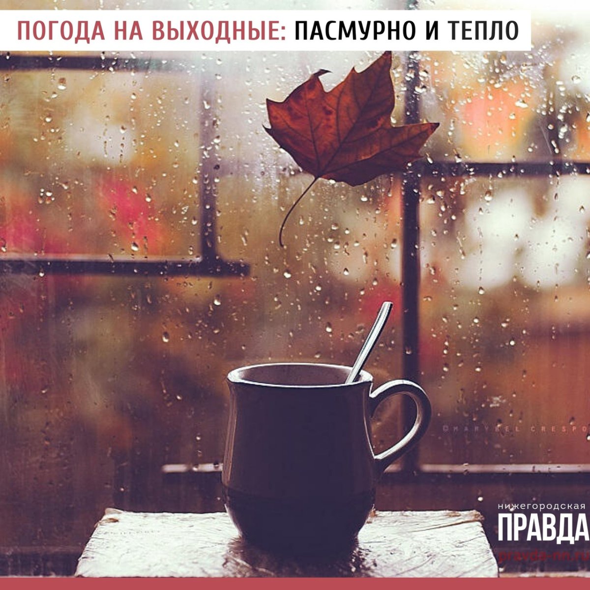 Чай и дождь за окном