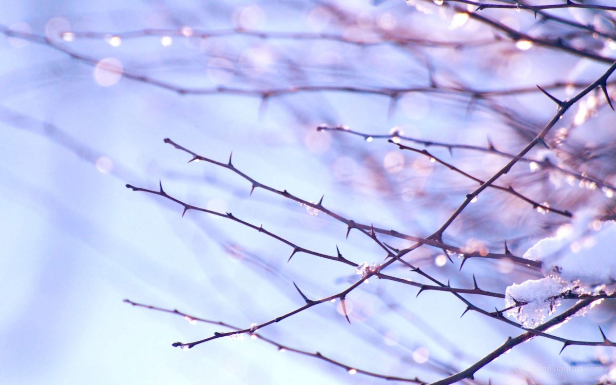 Ранняя Весна