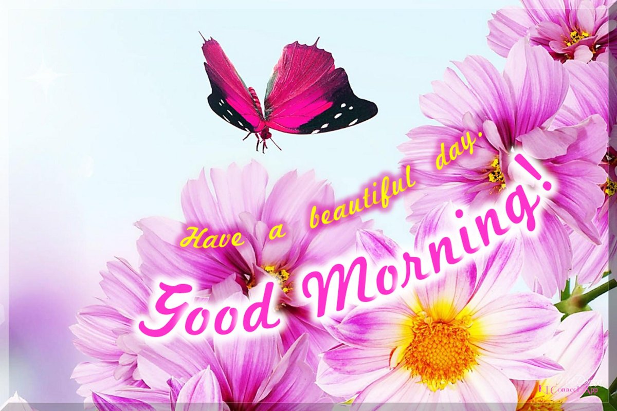 Доброе субботнее утро