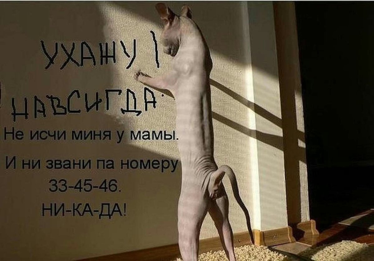 Спокойной ночи зимней ночи