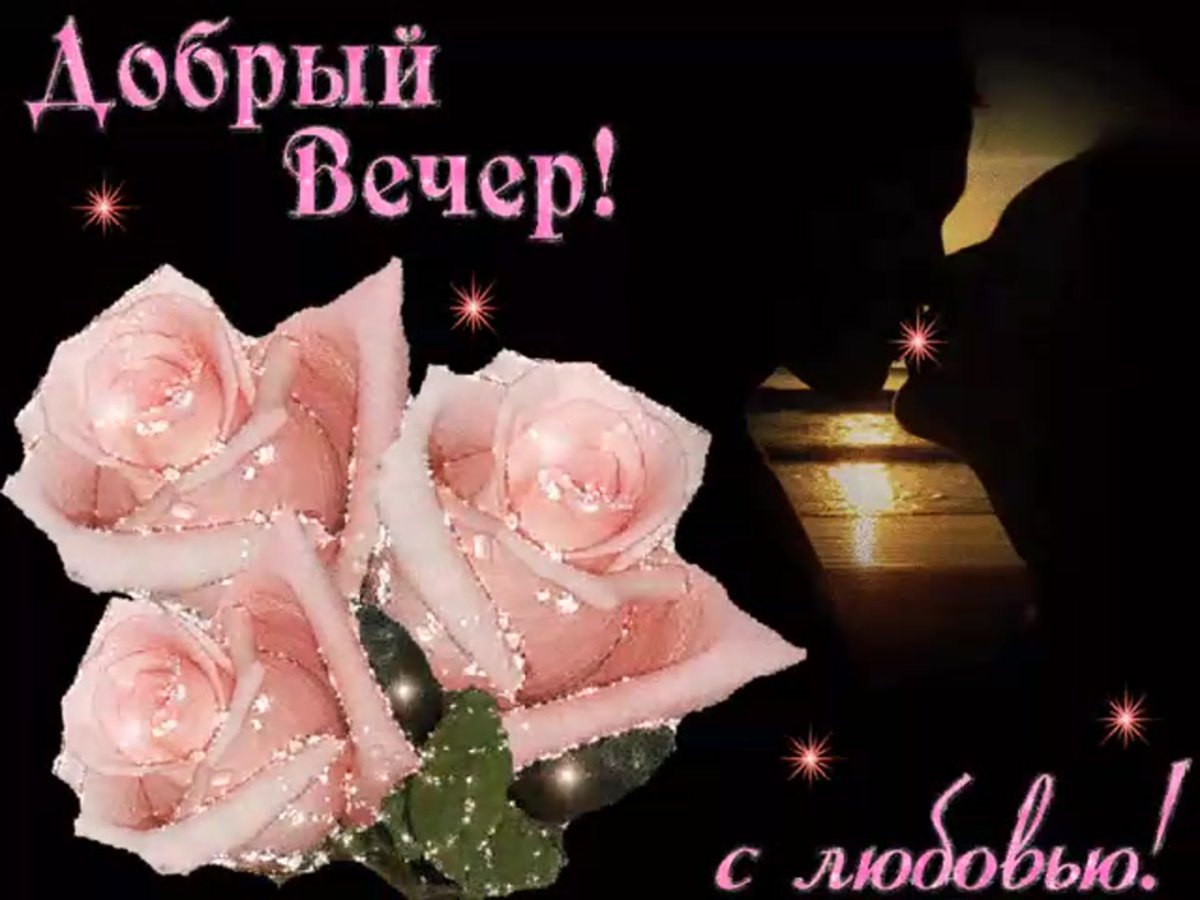 Светящиеся котики