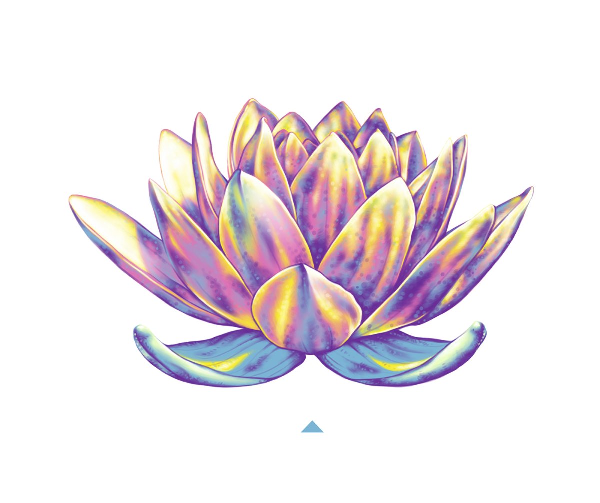 Лотос эскиз цветной