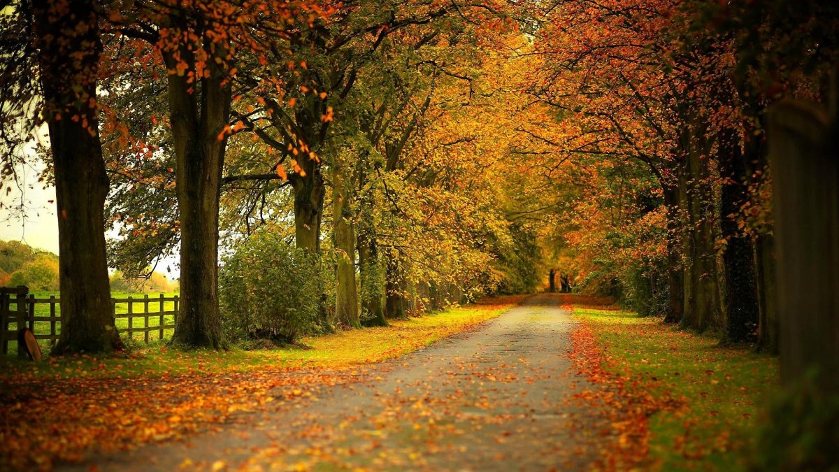 Заставка на рабочий стол осень