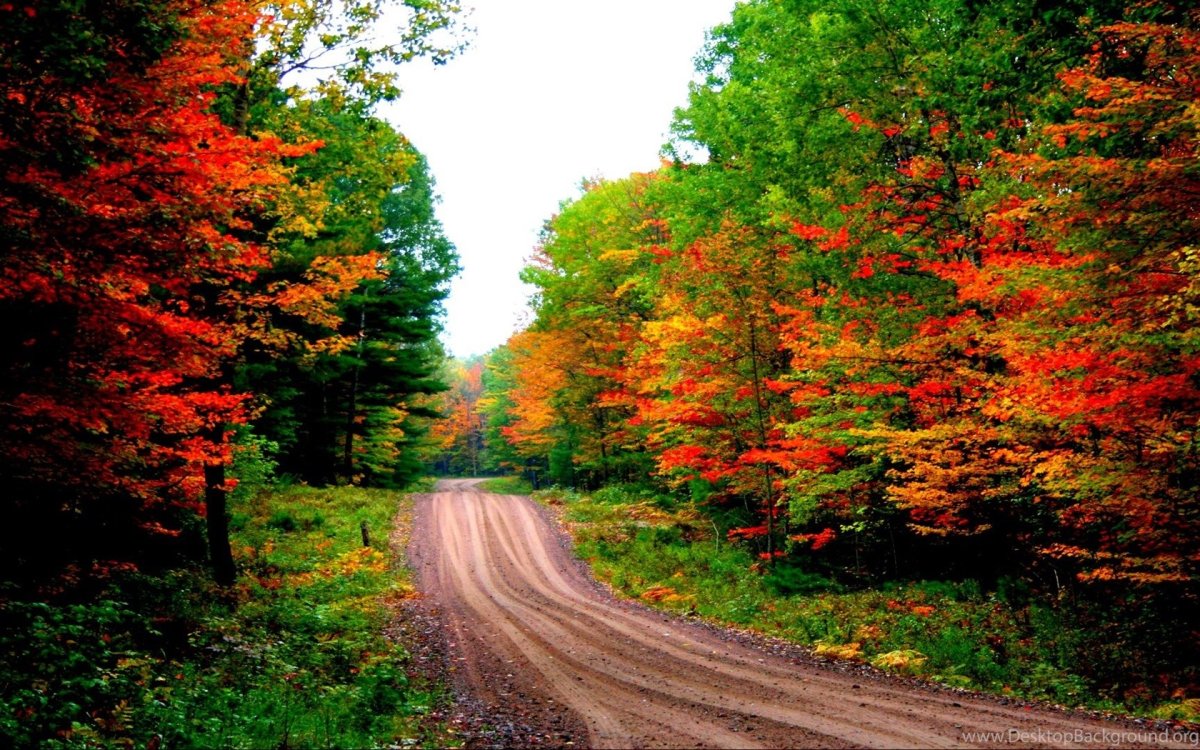 Темы для рабочего стола осень