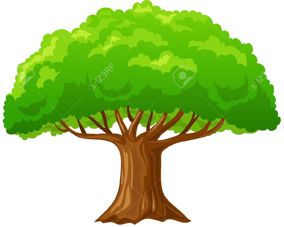 Цветное дерево