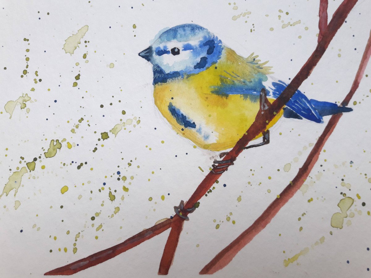 Синица акварелью