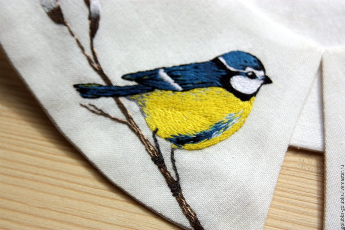 Птицы цветными карандашами