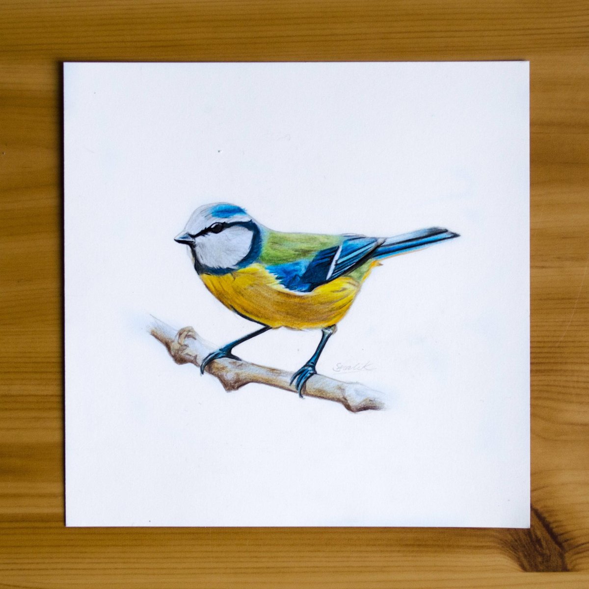 Уроки рисования птиц