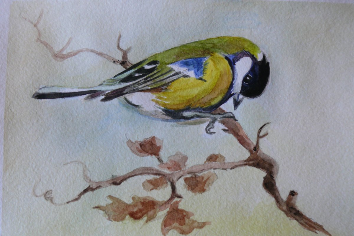 Правополушарное рисование для детей