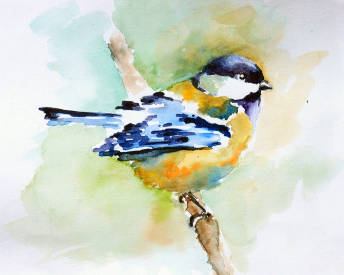 Синица рисунок карандашом