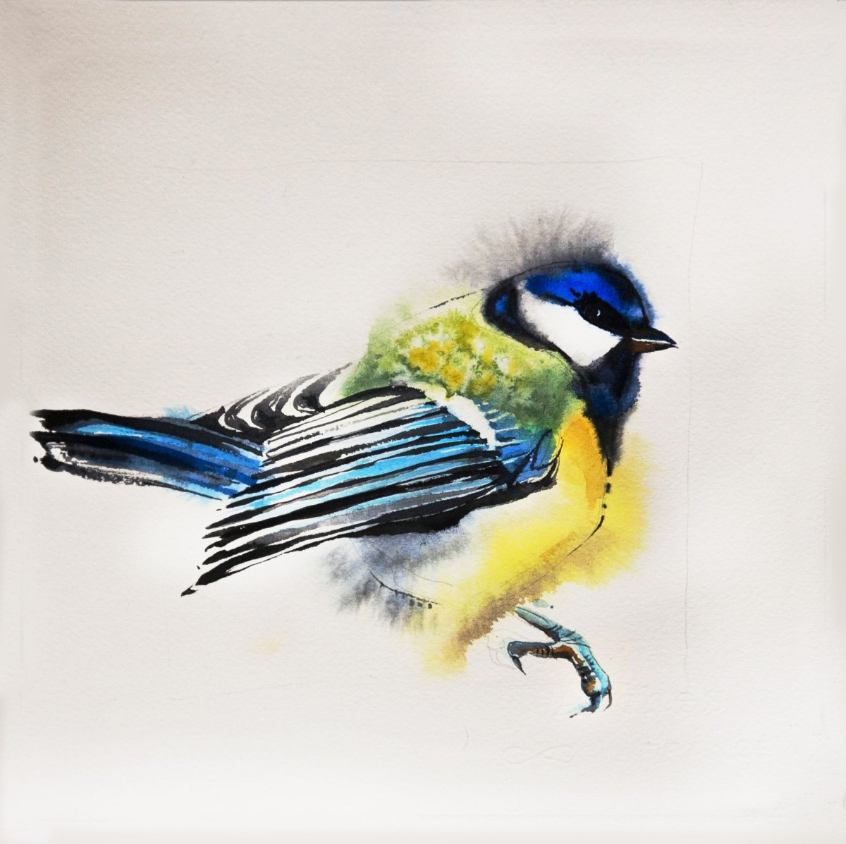 Соловьева Евгения акварель птицы