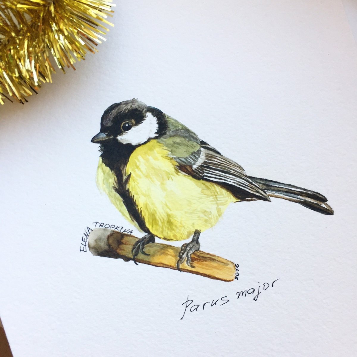 Синица рисунок