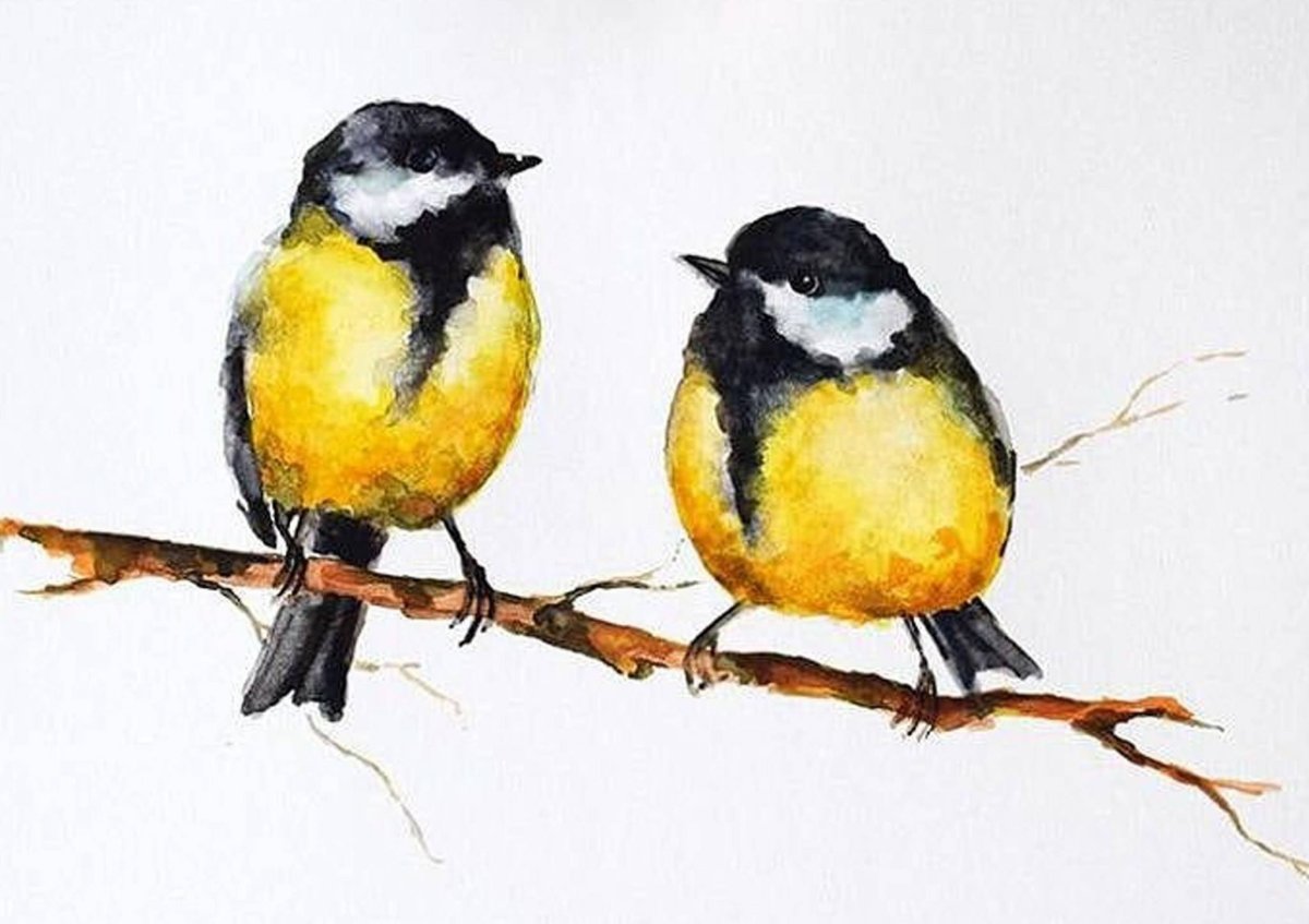 Синица цветными карандашами