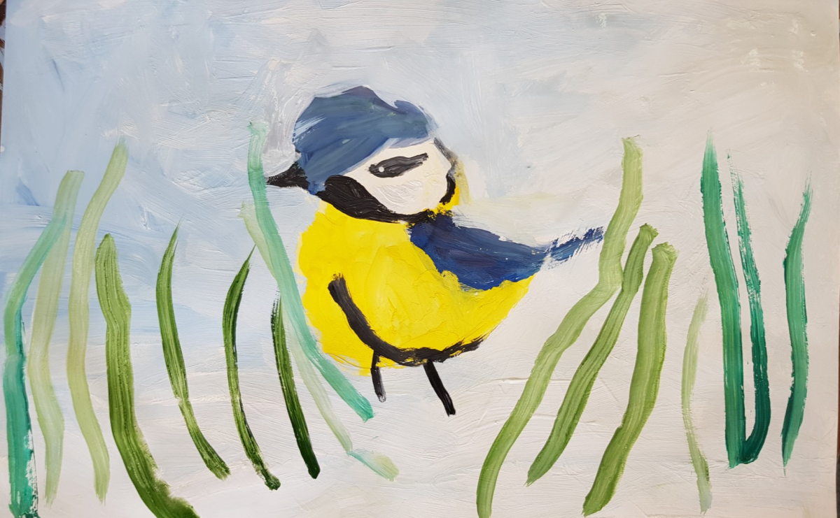 Синица раскраска для детей