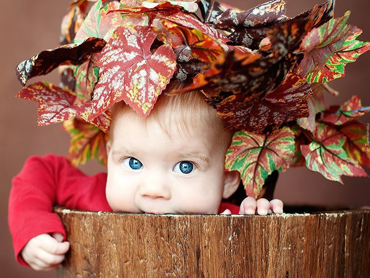 Осень для детей