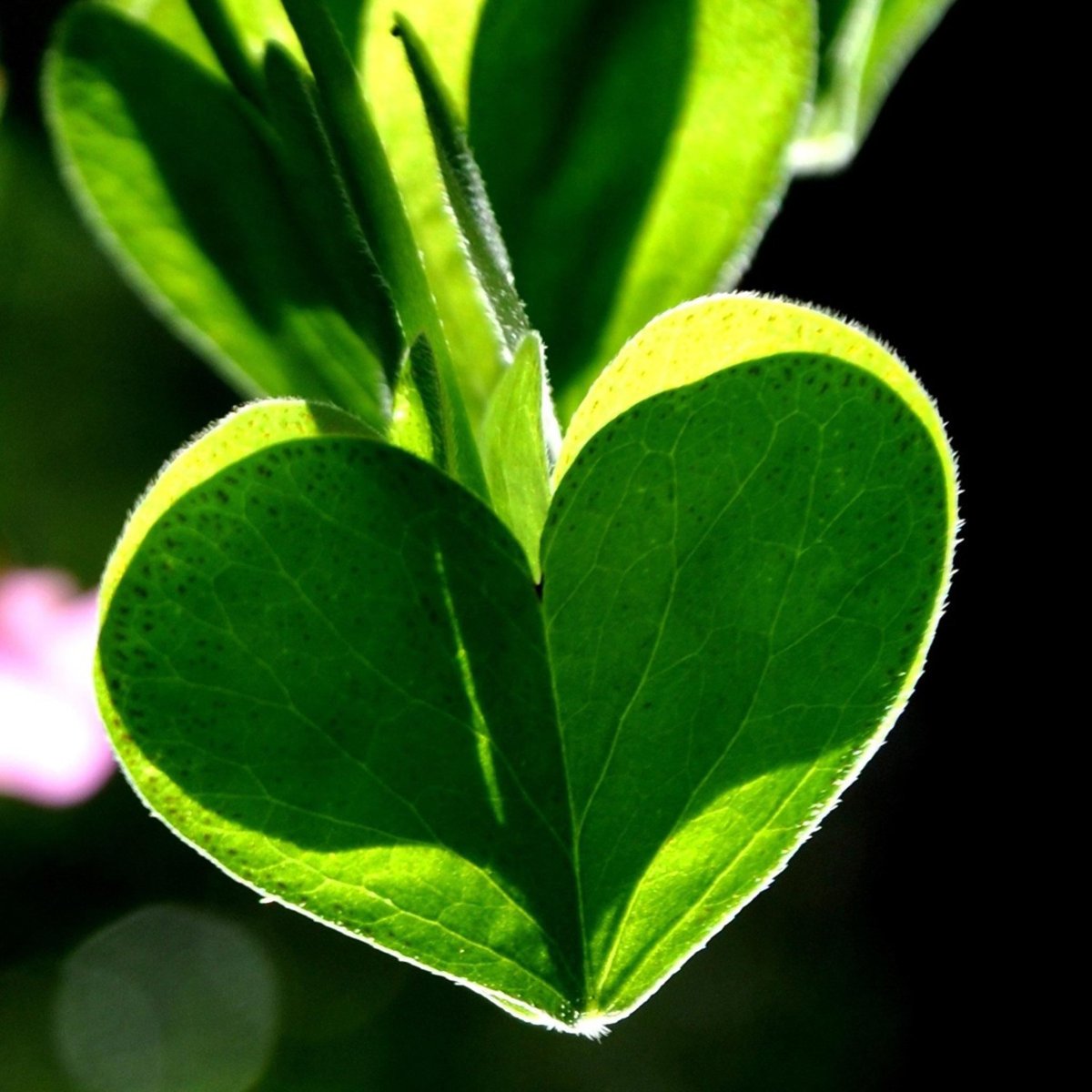 Прости меня любимая