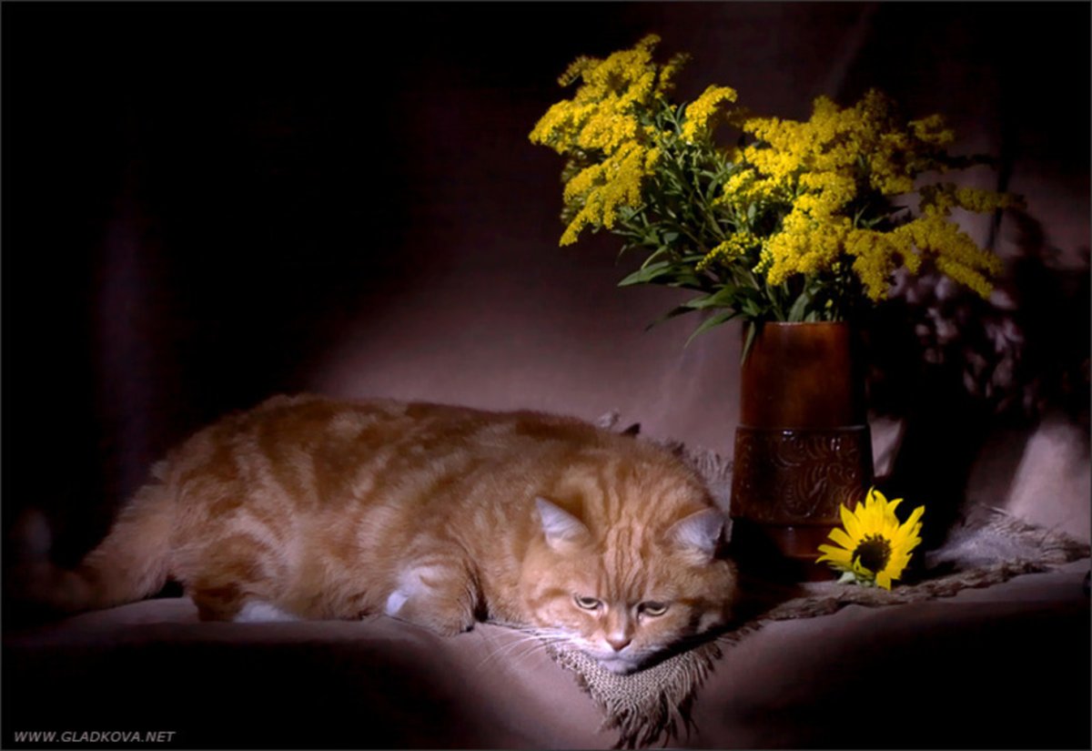 Открытки добрый вечер красивые