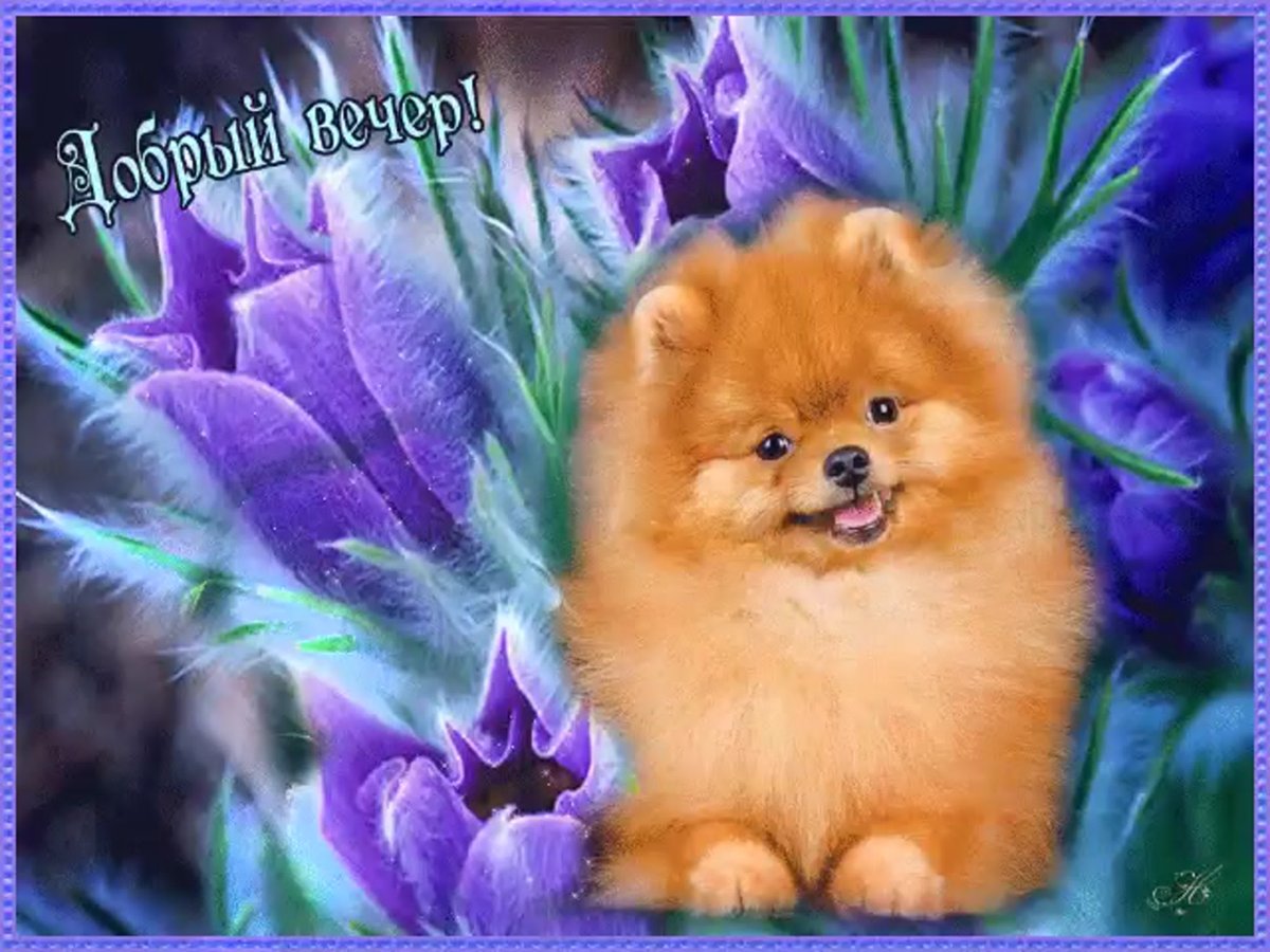 Уютный зимний вечер