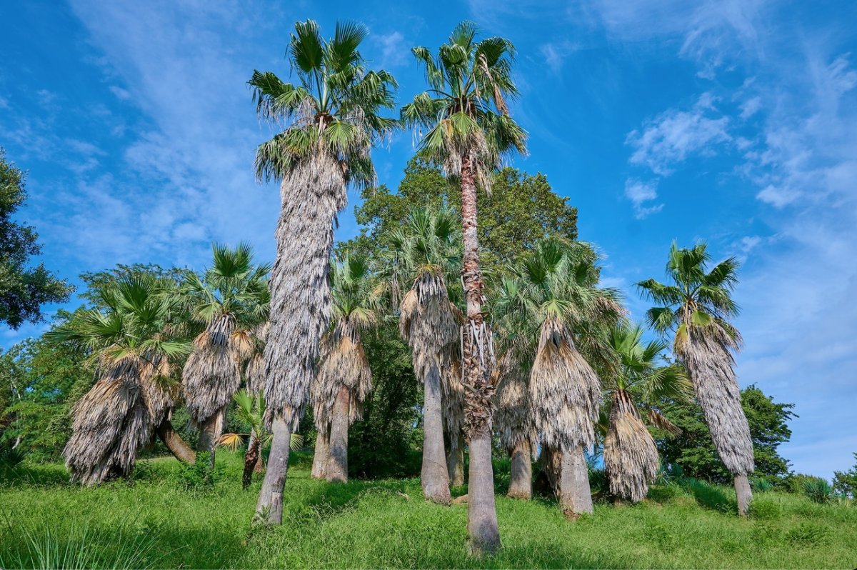 Кофе с видом на море