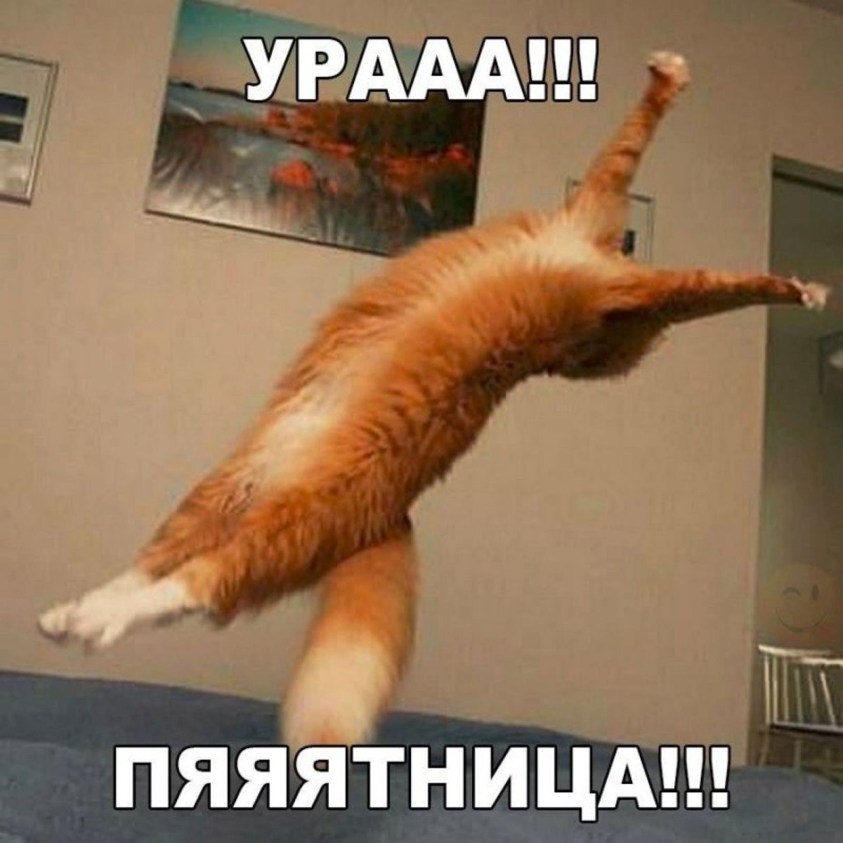 Пятница фото