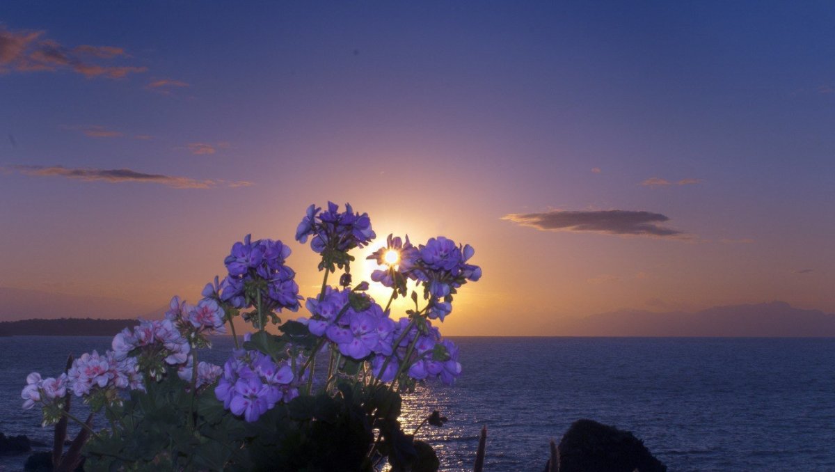 Красивая спокойная природа