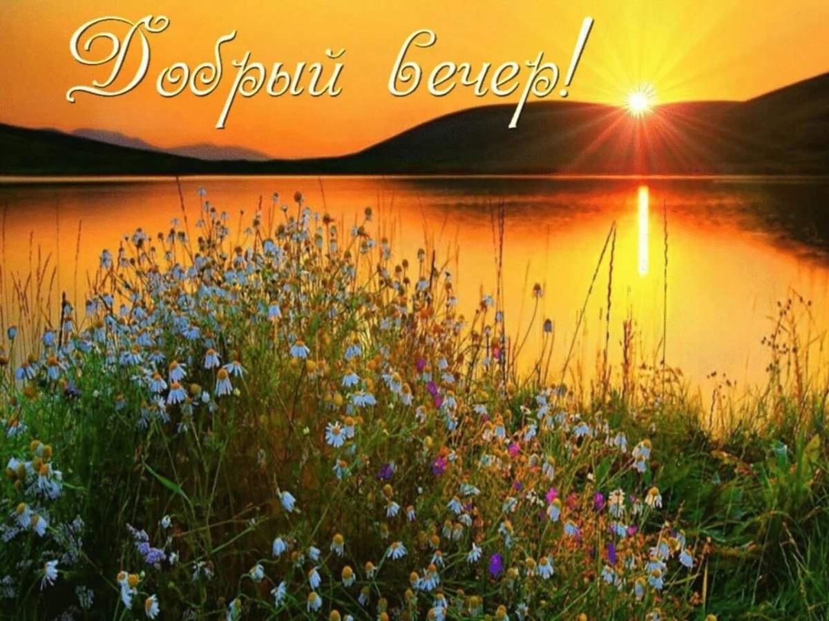 Спокойной ночи Луна