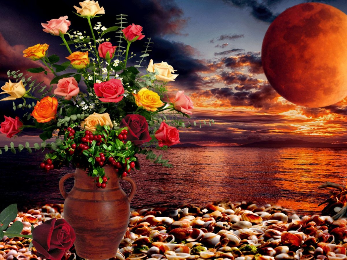 Ночь Луна сад