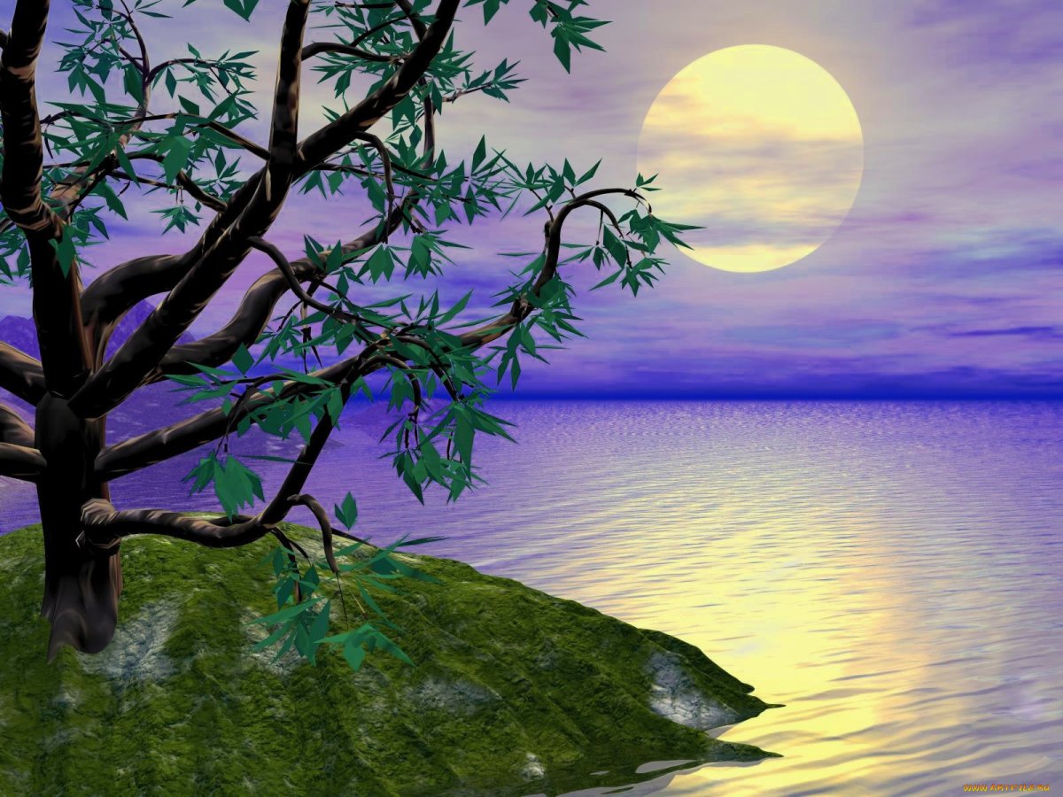 Вечерние птицы