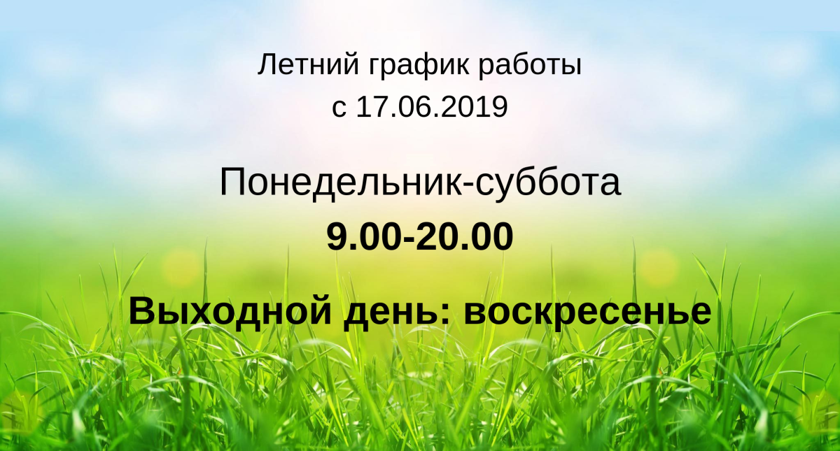 Котик понедельник