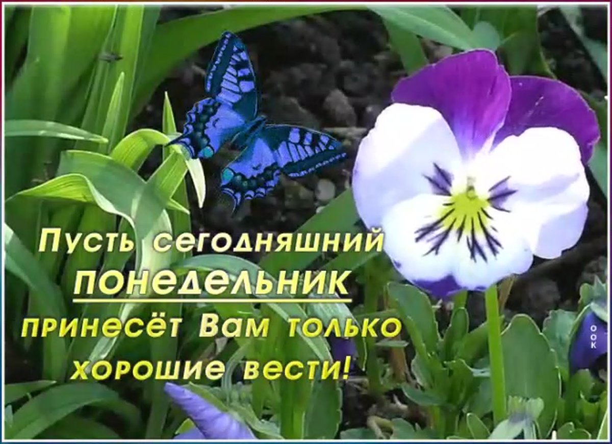 Завтра понедельник