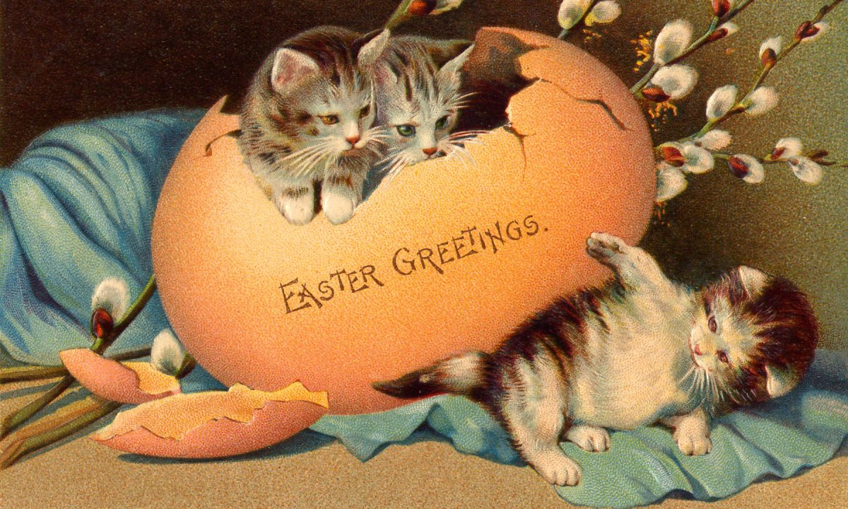 Пасхальные открытки с котятами