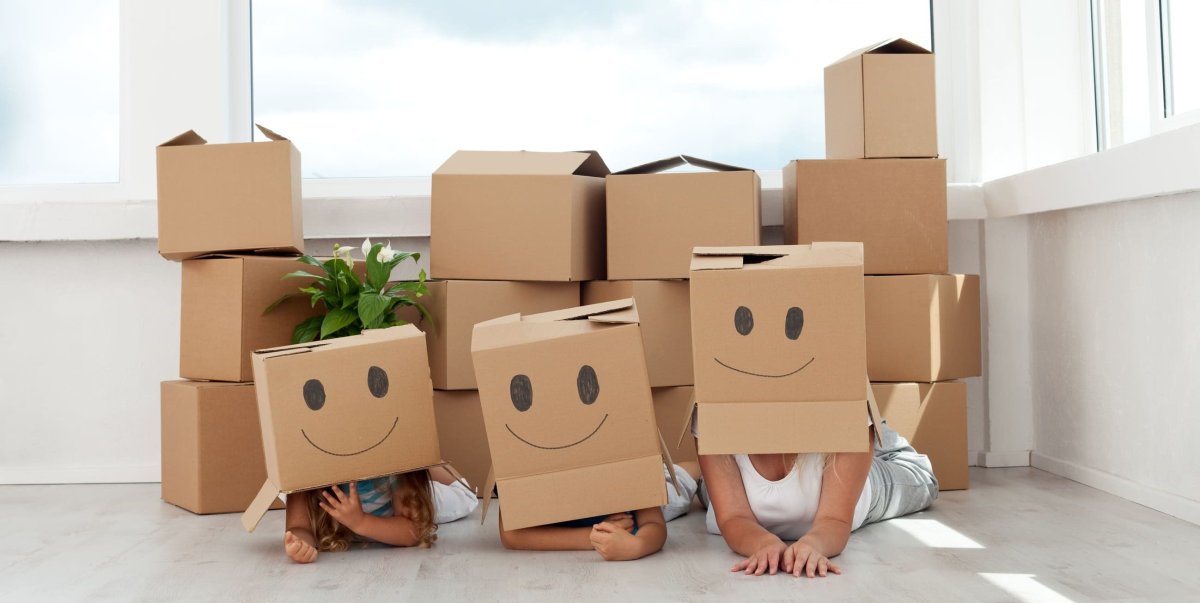 Реклама много видов коробок