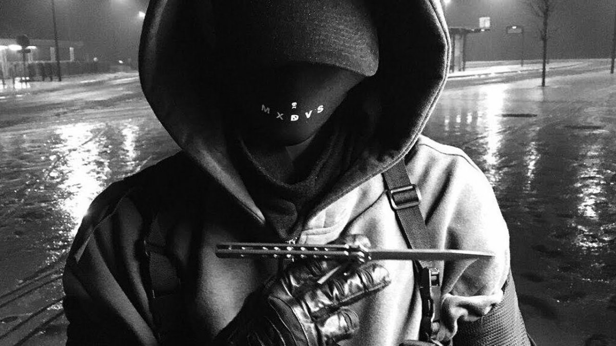 Питбуль черно белый