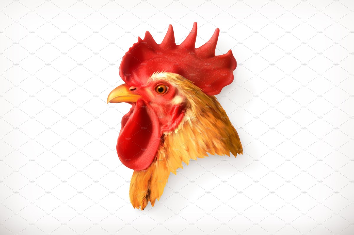 Морда петуха для детей