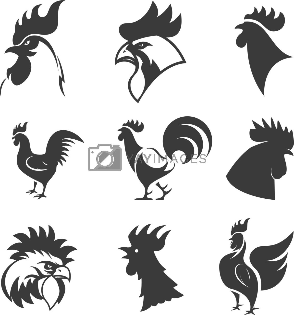 Голова курицы вектор