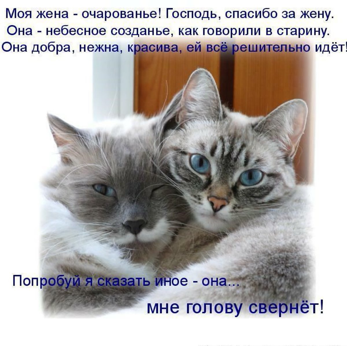 Смешные приколы про любовь