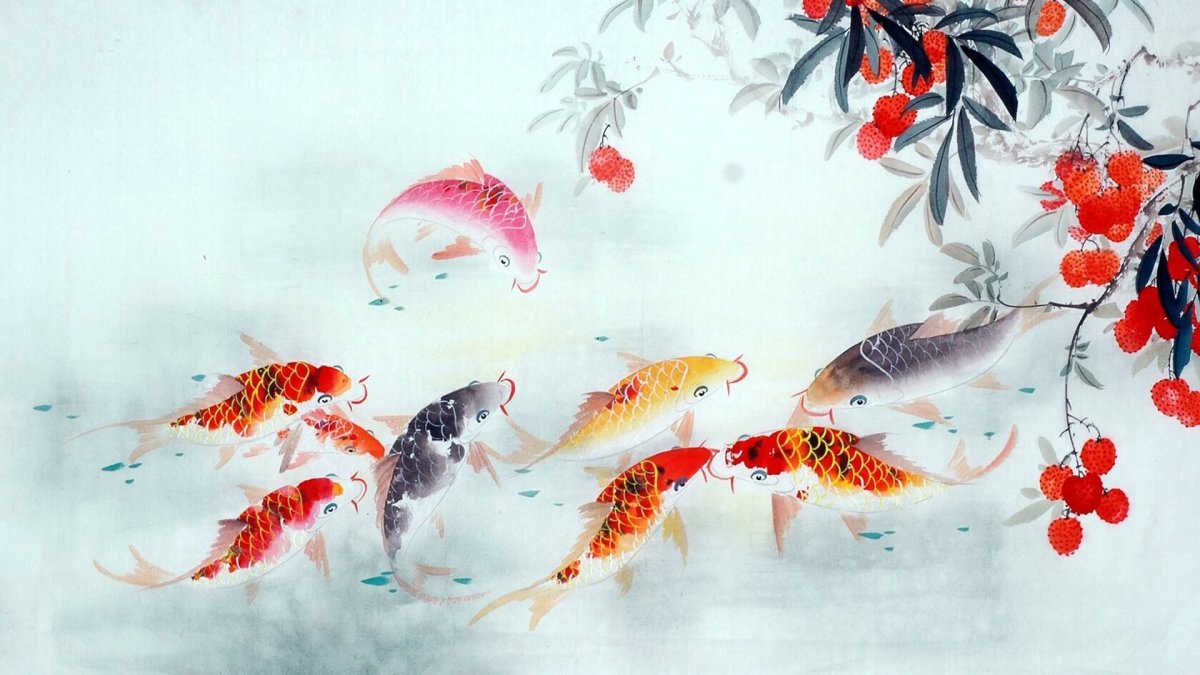 Гохуа карпы