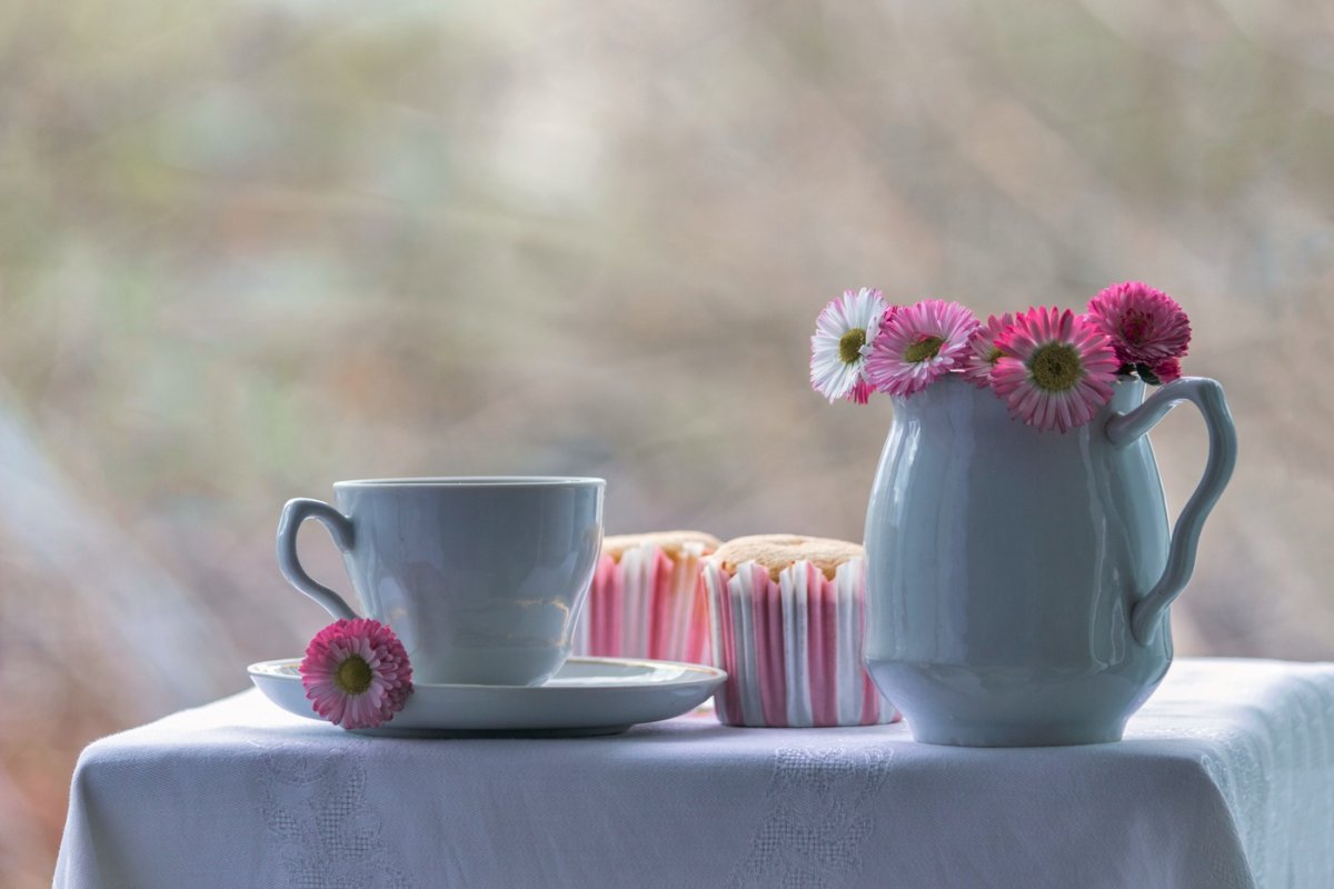 Чай с маргаритками