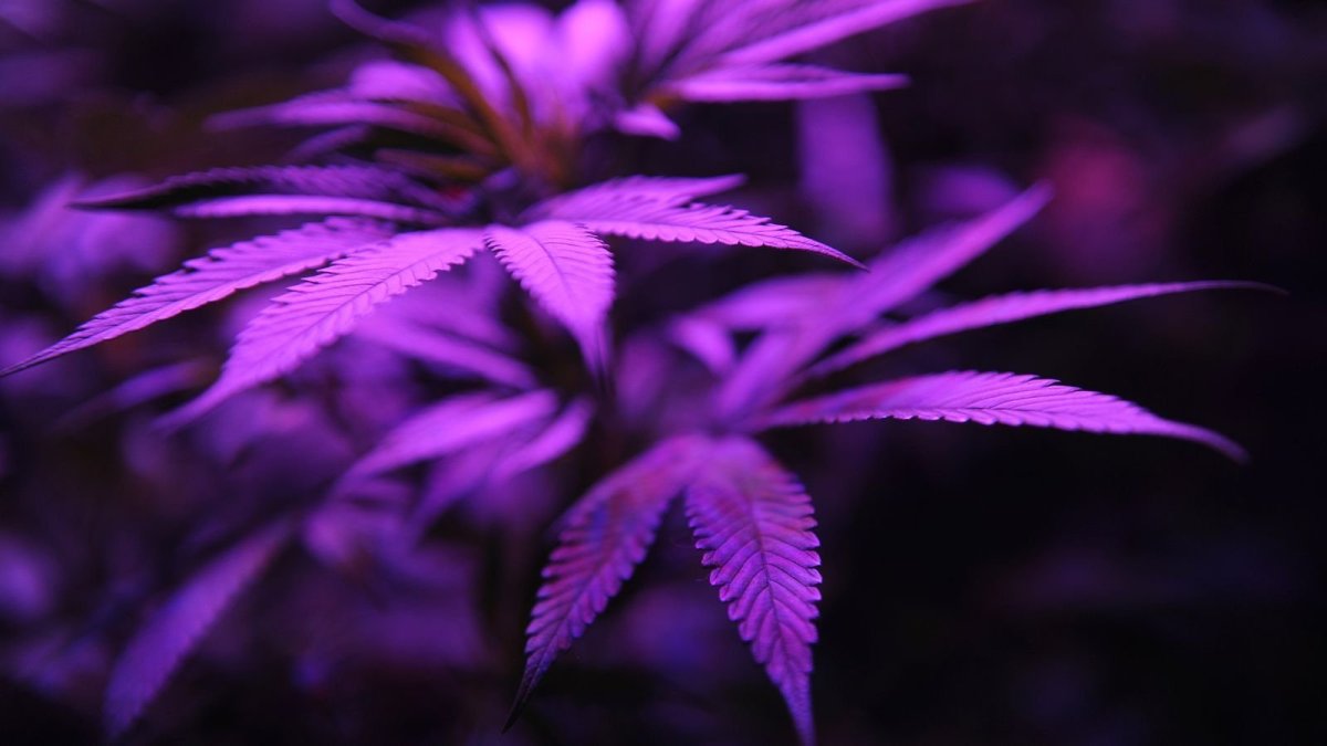 Неоновый фон