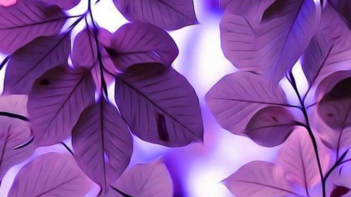 Фиолетовый коллаж