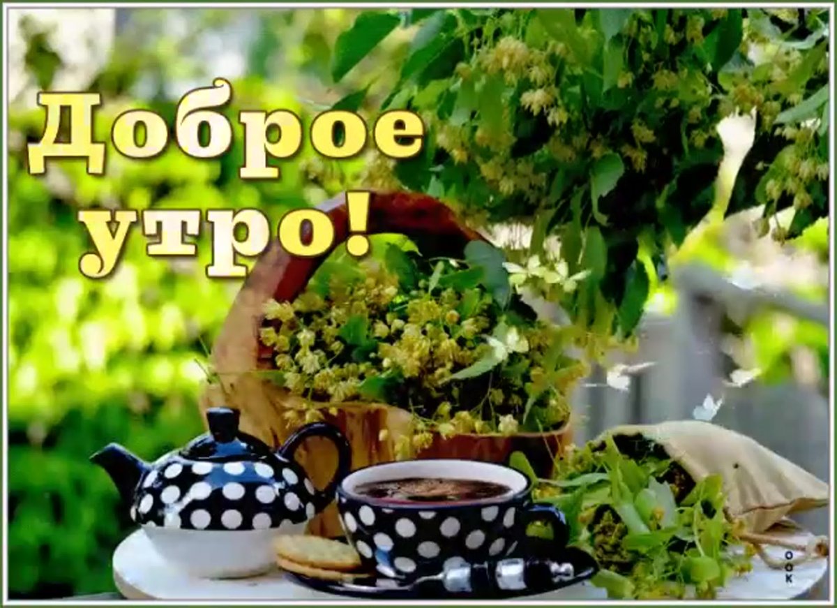 Пожелания доброго воскресного утра и хорошего дня