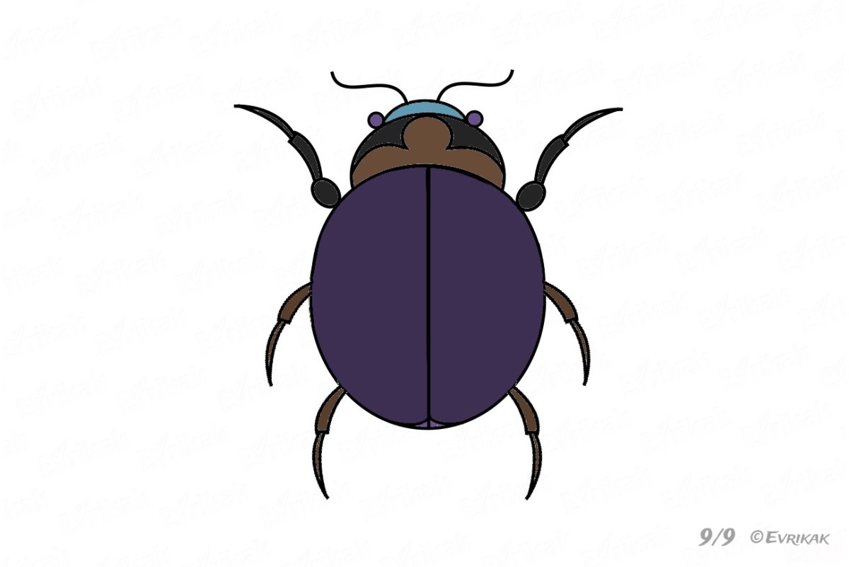 Жук рисунок