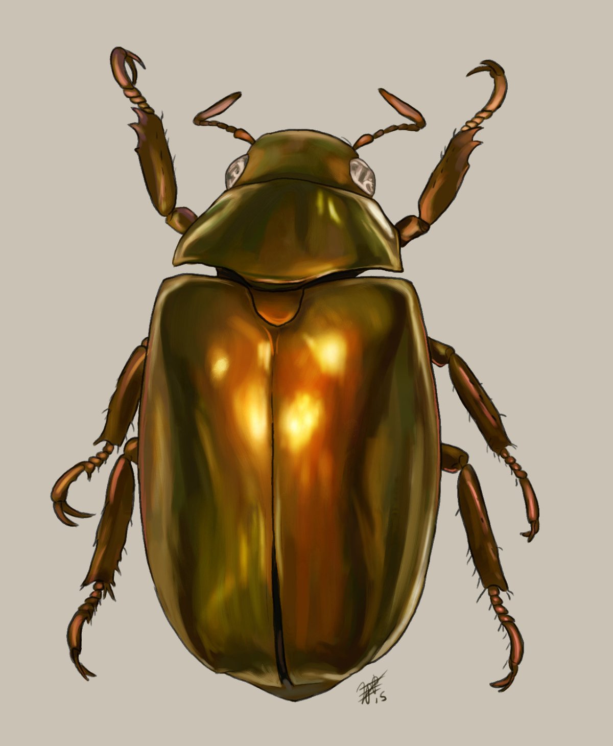 Скарабей Жук Art