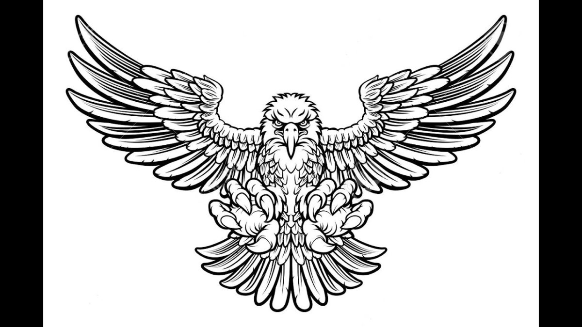 Орел с расправленными крыльями вектор