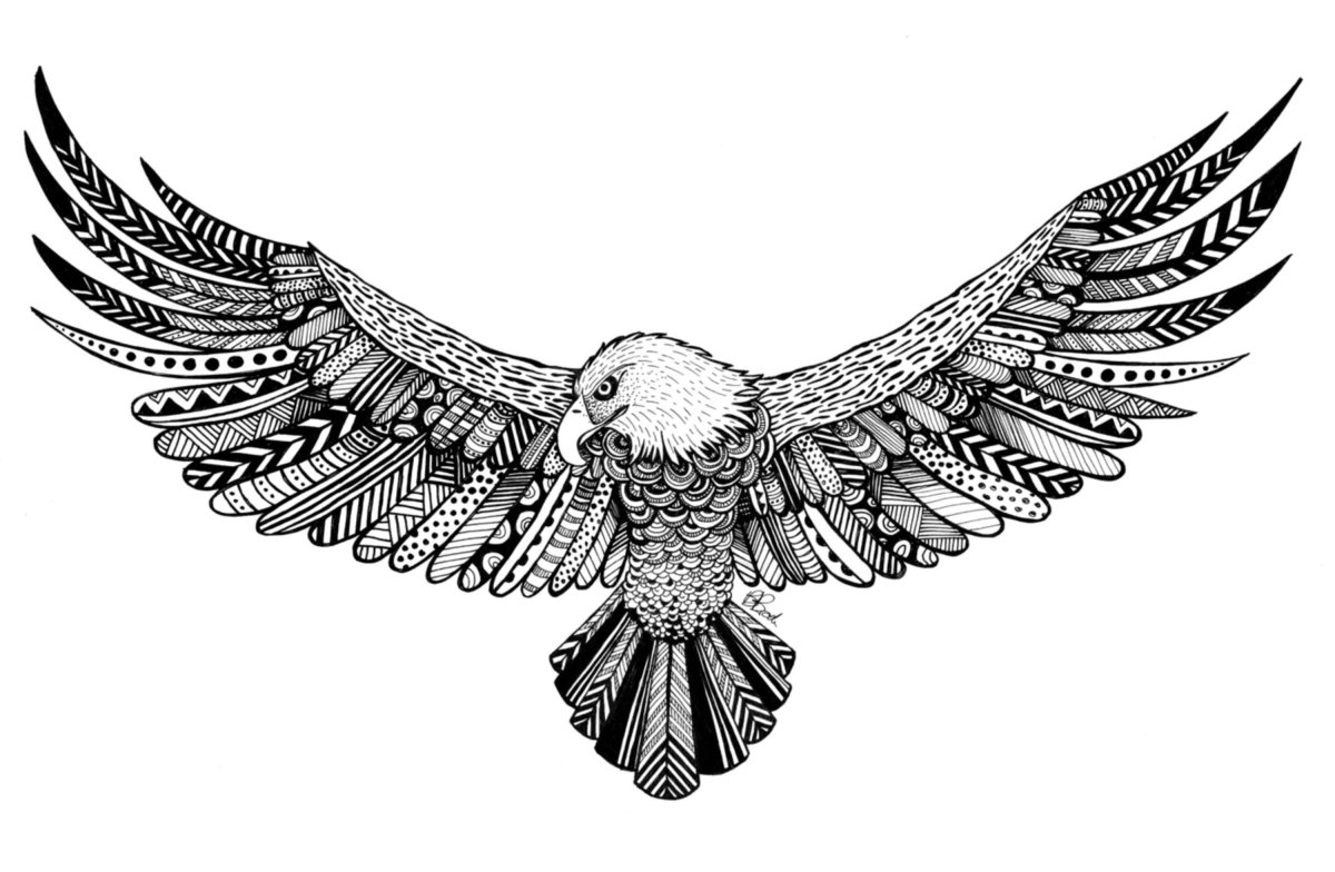 Эскиз орла с расправленными крыльями